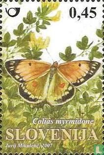 Papillons
