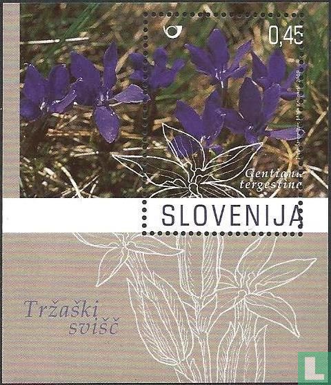 Flora