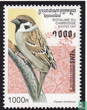Birds