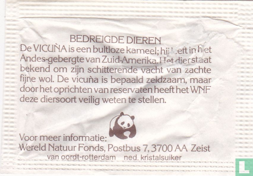 Vicuna, Zuid-Amerika