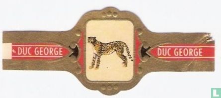 Jacht Luipaard