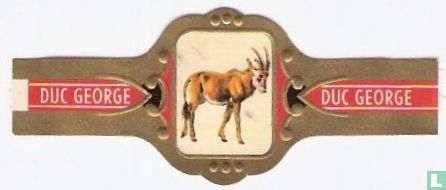 Basterdgemsbok