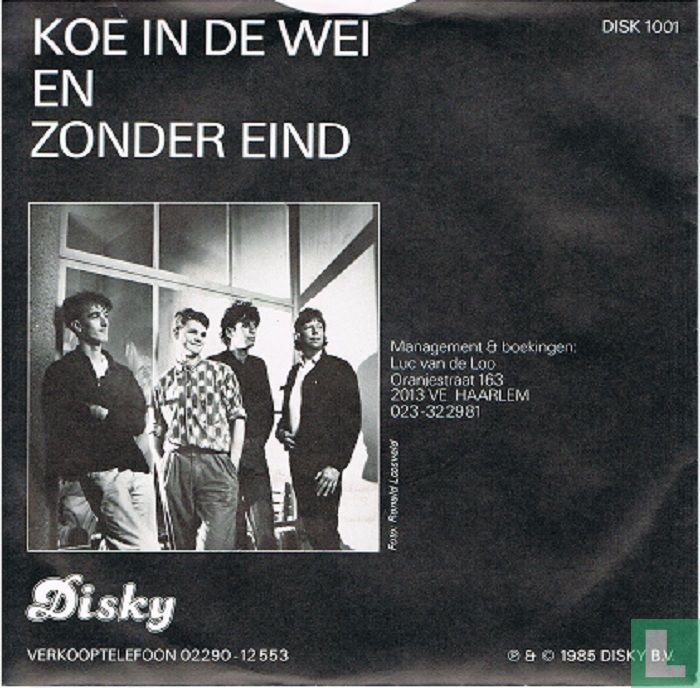 Koe in de wei