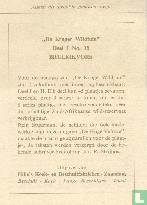 Brulkikvors