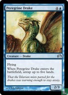Peregrine Drake