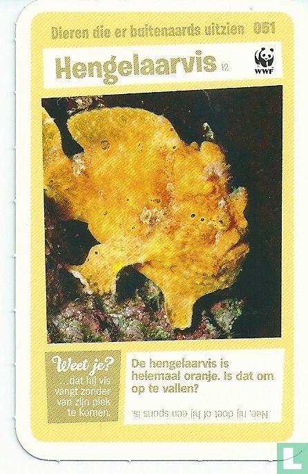 Hengelaarvis