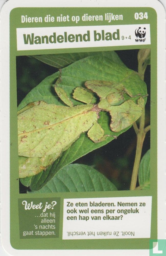 Wandelend blad