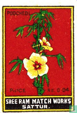 Poochedi