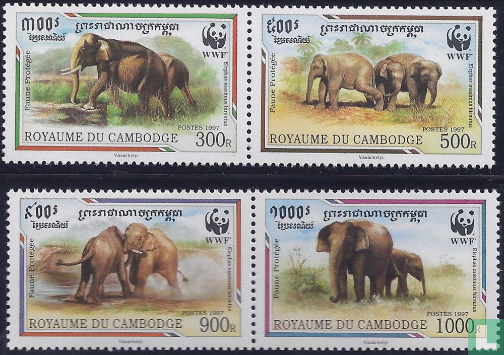 Malaysian elephant