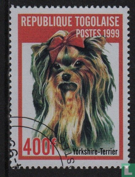 Hunde
