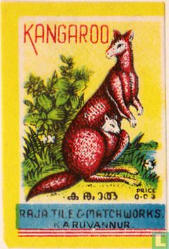 Kangaroo