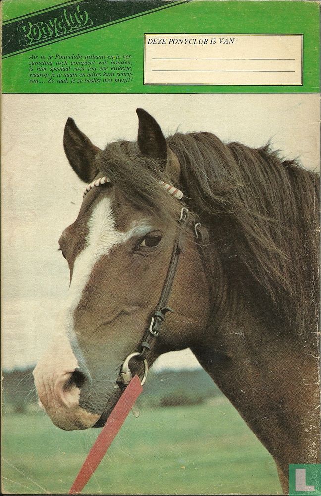 Ponyclub 95