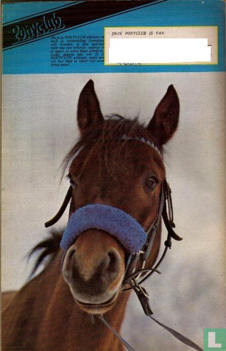 Ponyclub 83