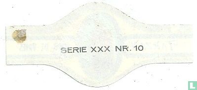 Tarzan 10
