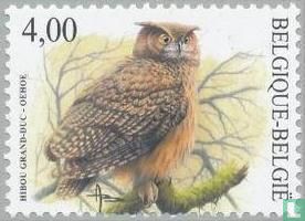 Eurasian eagle-owl