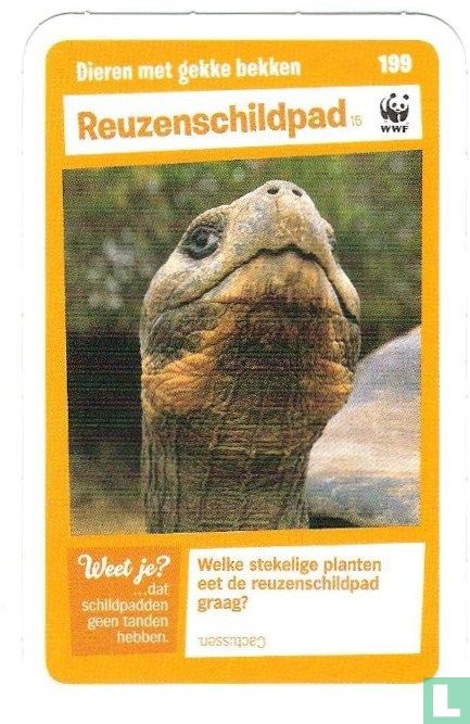 Reuzenschildpad