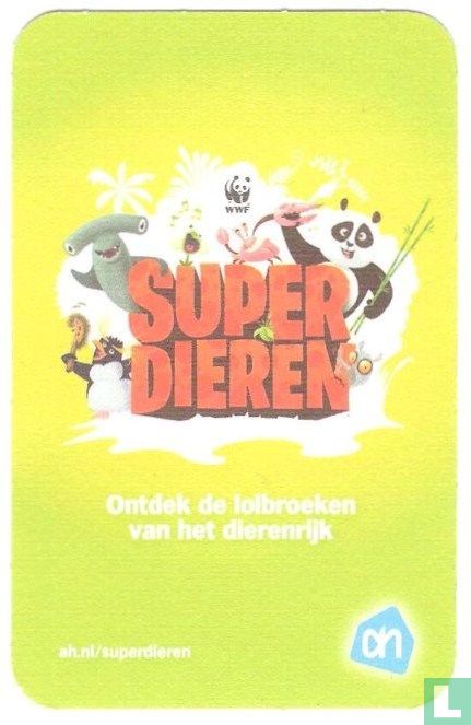 Reuzenschildpad