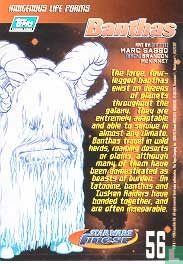 Bantha 