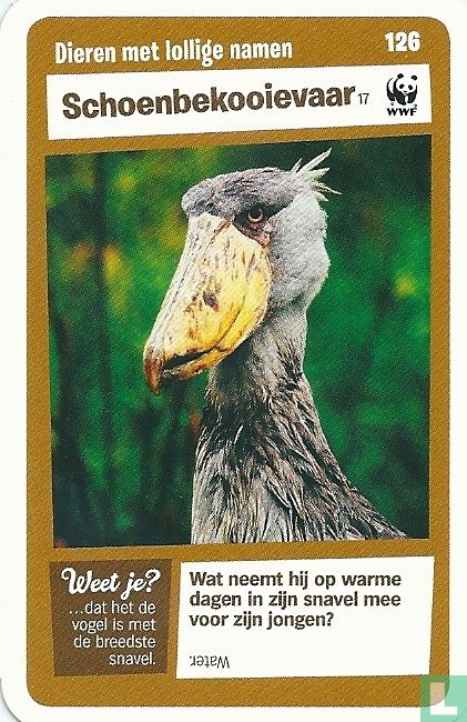 Schoenbekooievaar