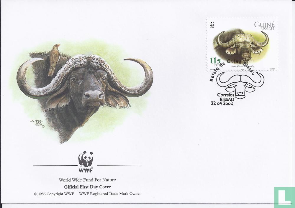 Afrikaanse buffel