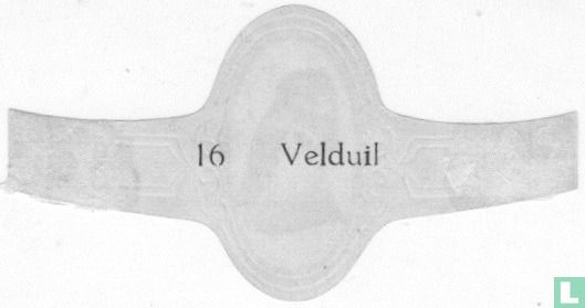 Velduil