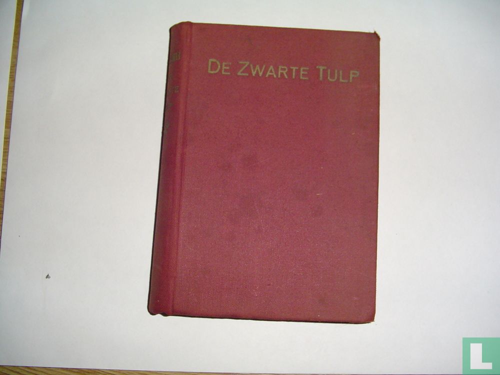 De zwarte tulp