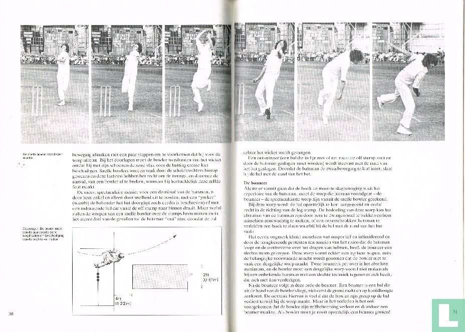 Cricket