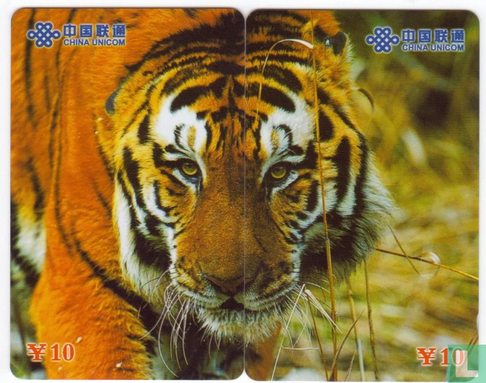 Tijgers Puzzel
