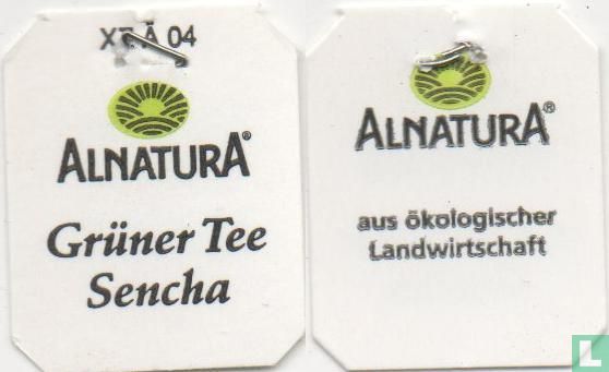  5 Grüner Tee Sencha