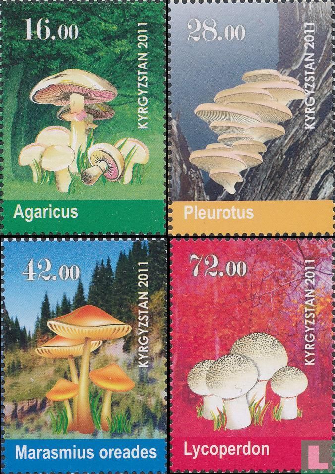 Champignons