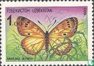 Papillon