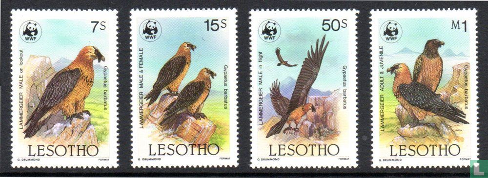 WWF-bärtiger Geier oder Vulture Bart