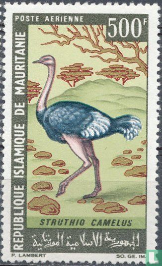 Oiseaux 