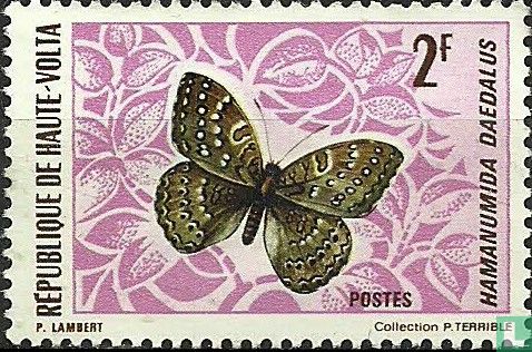 Butterflies