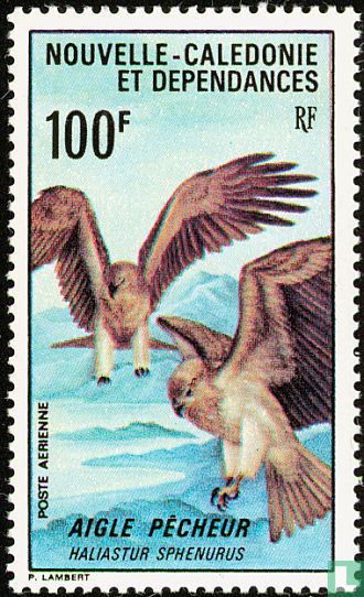 Oiseaux
