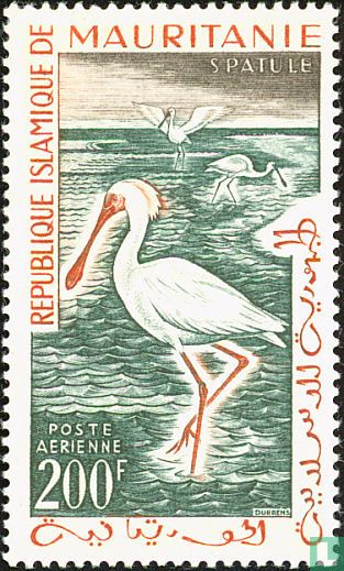 Oiseaux