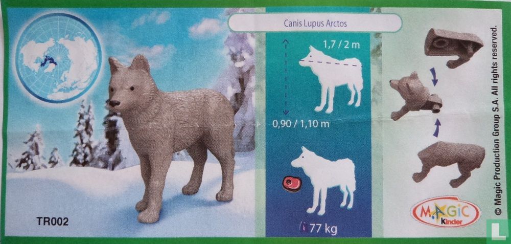Wolf