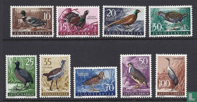 Oiseaux et animaux 