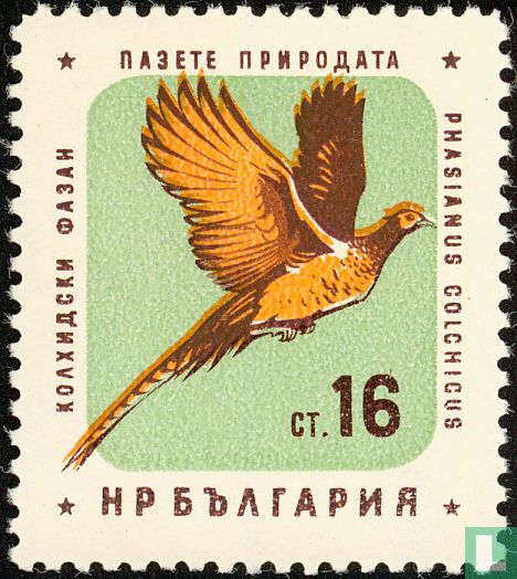 Oiseaux
