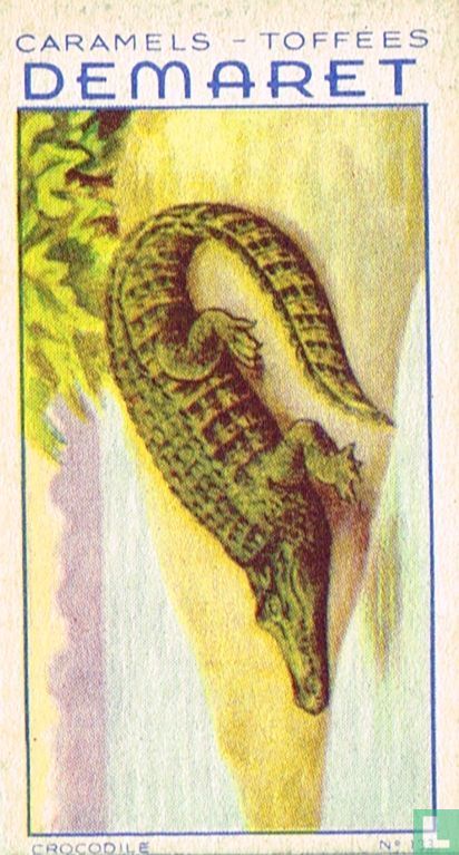 De krokodil