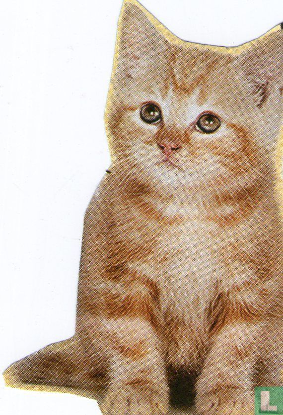 Chaton