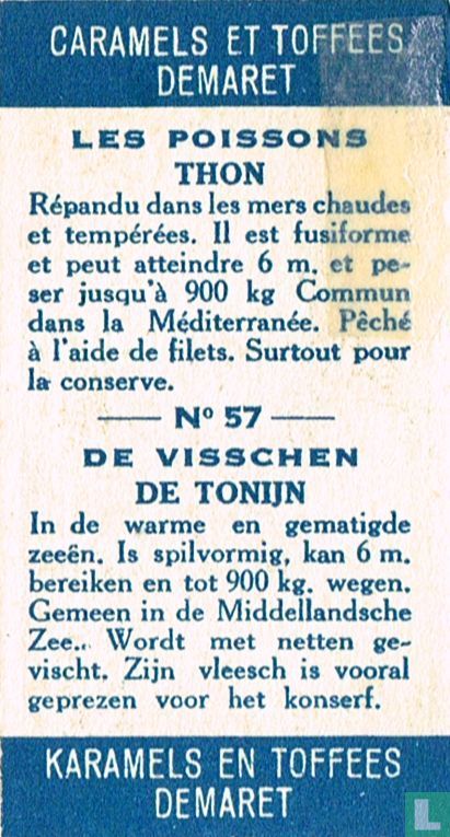 De tonijn