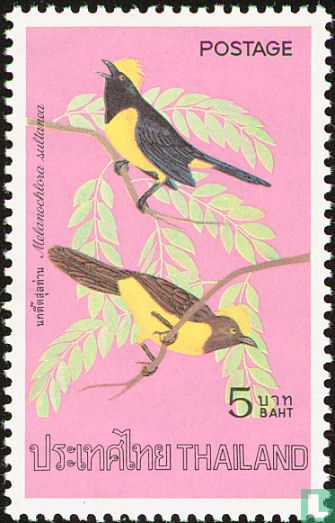 Birds
