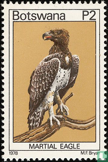 Aigle martial