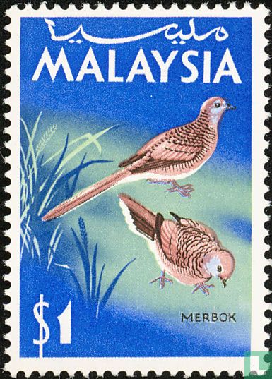 Birds 