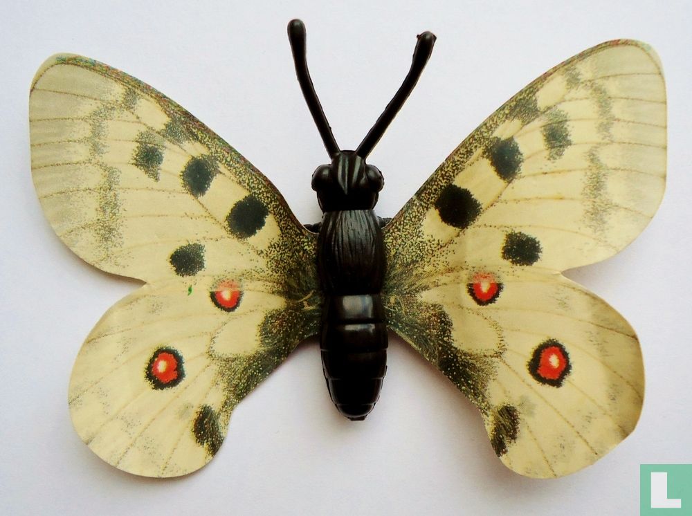 Parnassius Apollo