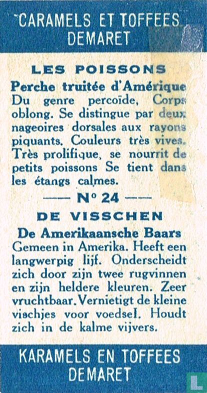 De Amerikaansche baars