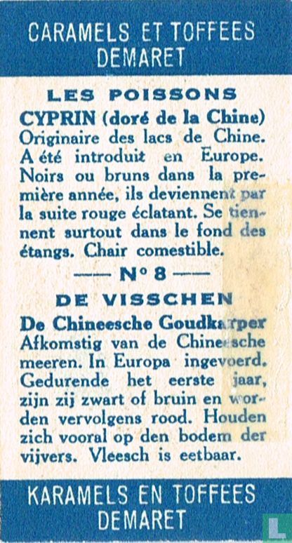 De Chineesche goudkarper