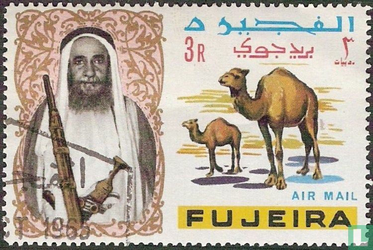 Animals
