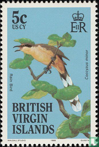 Oiseaux